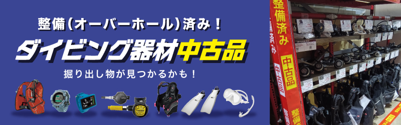 ���Ï��i�i�ڍׂ́A������j