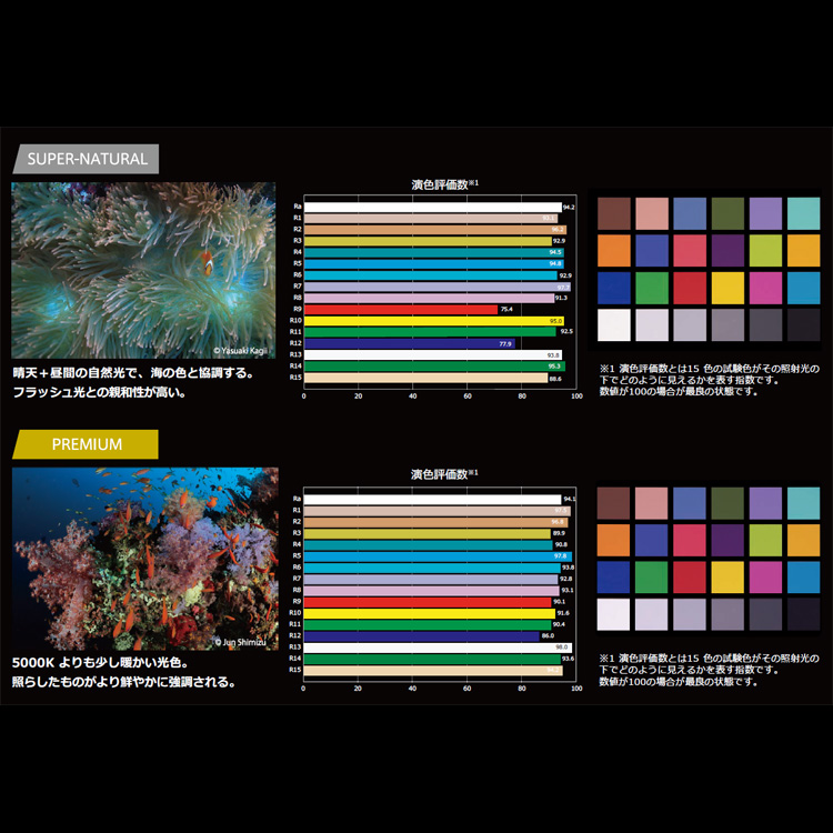 カラーチャート照射 スーパーナチュラルカラー