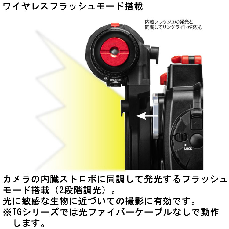 リングライトDL2001