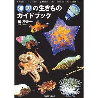 [ _Co[ ] Cӂ̐̃KChubN