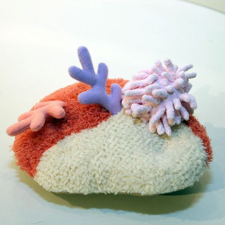 [ fUC ] CU}XRbgp [ TSXe[W ]