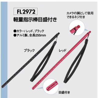 [ FL ] FL2972 yʎw_ڐt