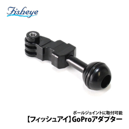 [ Fisheye ] GoProA_v^[ 40176