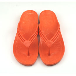 [ BBC ] T MT _Co[YT_ fB[X/IW