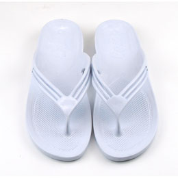 [ BBC ] T MT _Co[YT_ fB[X/zCg