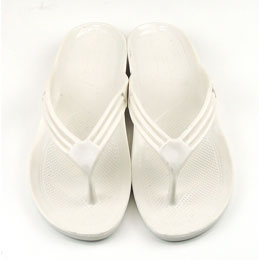 [ BBC ] T MT _Co[YT_ fB[X/p[zCg