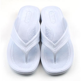 [ BBC ] T MT _Co[YT_ Y/zCg