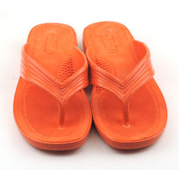 [ BBC ] T MT _Co[YT_ Y/IW