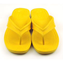 [ BBC ] T MT _Co[YT_ Y/CG[