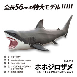 [ tFobg ] FM-351 zzWU rj[f v~AGfBVi72351j