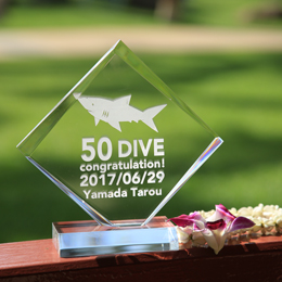 [ mic21IWi ] AC5506 LO_CugtB[[ W152×H180×D50mm ]