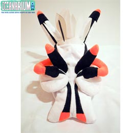 [ OCEANARIUM ] {bNXeBbVJo[ B06 Thecacera Picta Tissue Box Cover