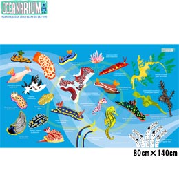 [ OCEANARIUM ] hC^I T09 skyblue nudibranches identification dry towel 80cm x 140cm