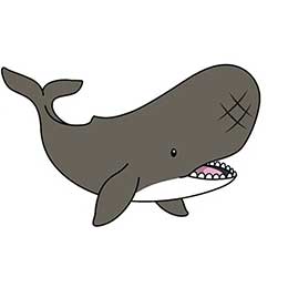 [ Kaila ] JC l[^O Luggage Tag QbW^O