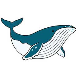 [ Kaila ] JC l[^O Luggage Tag QbW^O