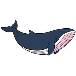 [ Kaila ] JC l[^O Luggage Tag QbW^O