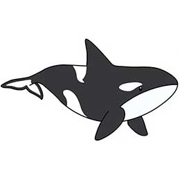 [ Kaila ] JC l[^O Luggage Tag QbW^O