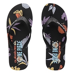 [ Quiksilver ] OPQS MOLOKAI ART EQYL100119