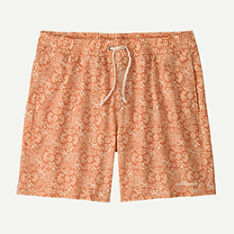 [ Patagonia ] �p�^�S�j�A �����Y�E�n�C�h���s�[�N�E�o���[�E�V���[�c 16�C���` 86436