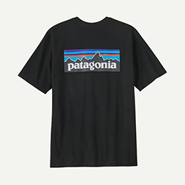 [ Patagonia ] �p�^�S�j�A �����Y�EP-6���S�E���X�|���V�r���e�B�[ 38504