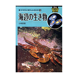 [ RƌkJ ] V}PC|PbgKCh9 Cӂ̐