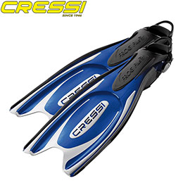 [ NbV[Tu ] FROG PLUS EBS Fin tbOvX EBS tB [u[/Vo[][ _CrOptB ]