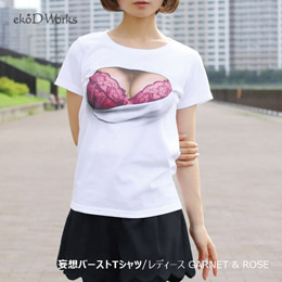 [ ekoDworks ] ϑzo[XgsVc fB[X GAR/ROS