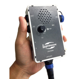 [ CASIO ] _CugV[o[ SV[Y Logosease @ [LGS-SS001]