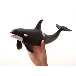 [ tFobg ] FM-301 V` rj[f 70656