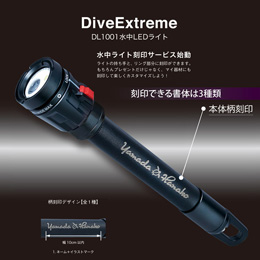 [ mic21IWi ] DL1001CgT[rXilbg l[CXg}[Nj