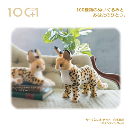 [ mYƖf ]  SM306 T[oLbg ʂ X^fBOver