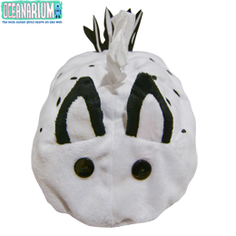[ OCEANARIUM ] {bNXeBbVJo[ B10 sea bunny ( white )