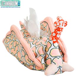 [ OCEANARIUM ] {bNXeBbVJo[ B08 Psychedelic batwing slug