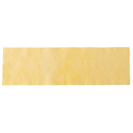 [ speedo ] Xs[h }CNX|[cZ[^I CG[ SE62050