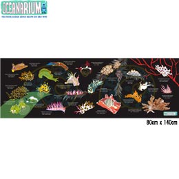 [ OCEANARIUM ] hC^I E~EV T13 BLACK NUDIBRANCH DRY TOWEL 80cm x 140cm
