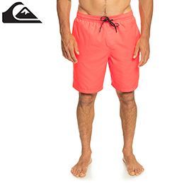 [ QuikSilver ]@EVERYDAY VOLLEY 19 {[hV[c