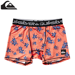 [ QuikSilver ]@MAPOOL ALLOVER Ci[V[c