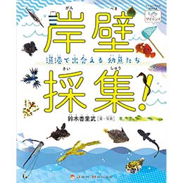 ݕǍ̏W! `ŏoc (Ƃ߂×TCGX) Ps{