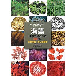 C: {Ō388̐Ԏʐ^+ΕW{ (lC`[EHb`OKChubN) Ps{