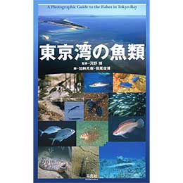 [ } ] p̋ Ps{i\tgJo[j