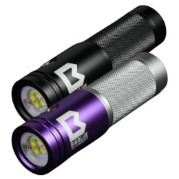 [ bigblue ] AL-2000XWP BLACK MOLLY VI [ KL545 ]