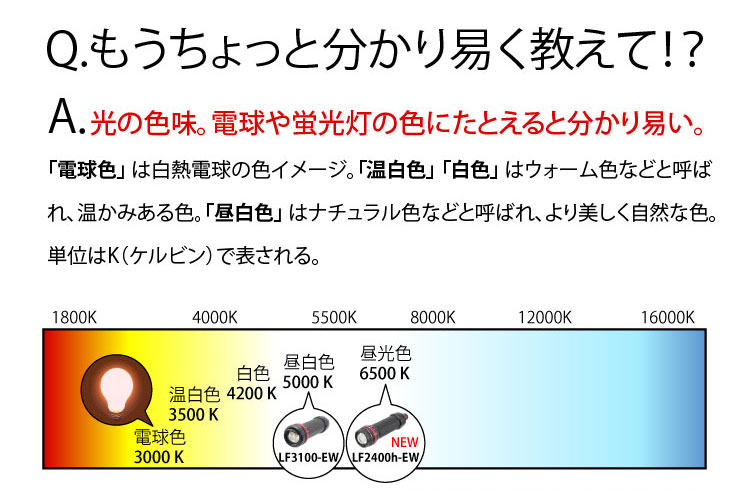 【INON】水中ライト LF2400h-EW ダイビング用LEDライト