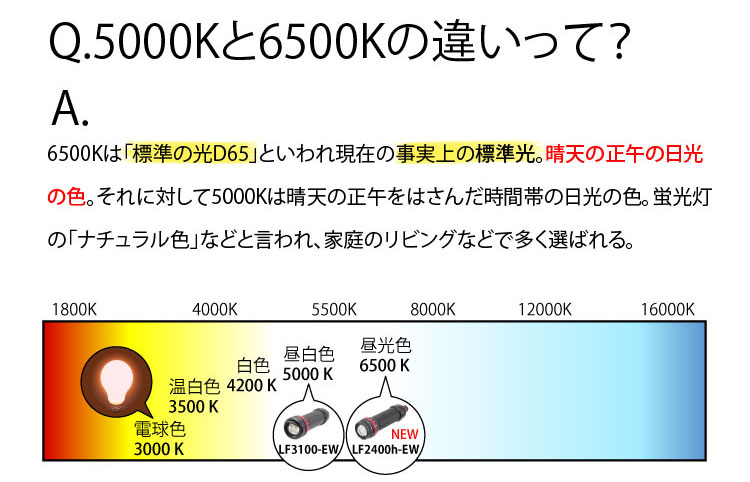 【INON】水中ライト LF2400h-EW ダイビング用LEDライト