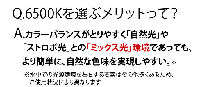 【INON】水中ライト LF2400h-EW ダイビング用LEDライト