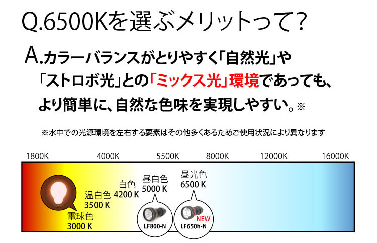 yINONzLF650h-N pLEDCg