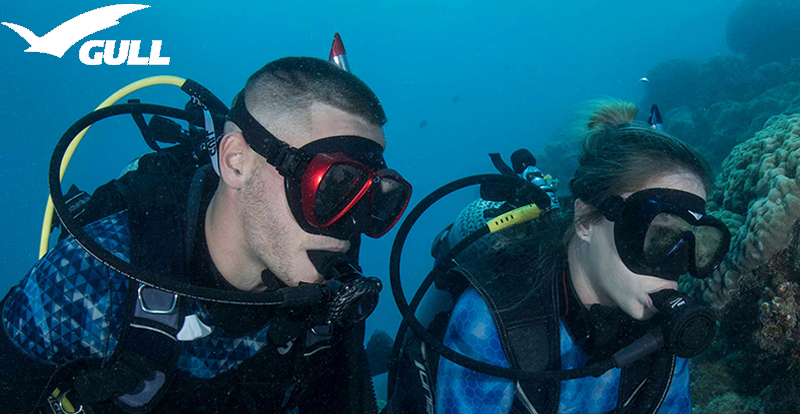 GULL ダイビングマスク