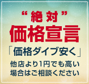 Ήi錾[i_Cu]X1~łꍇ͂k